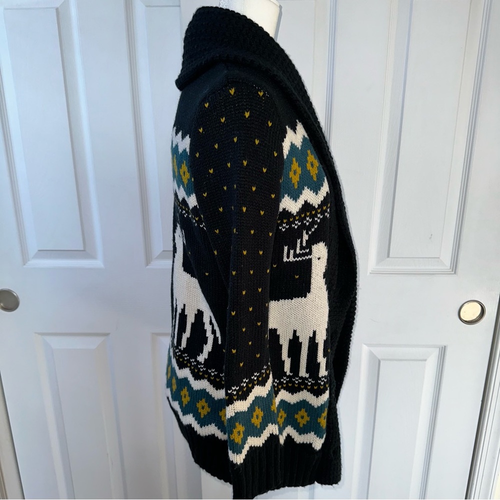 SOLD F21 Winter Cardigan - Picture 3 of 14